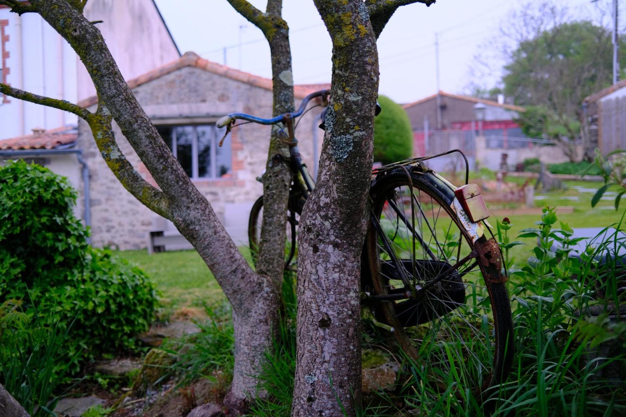 Les Chambres De La Forge Des Collines เลแซร์บิเย ภายนอก รูปภาพ