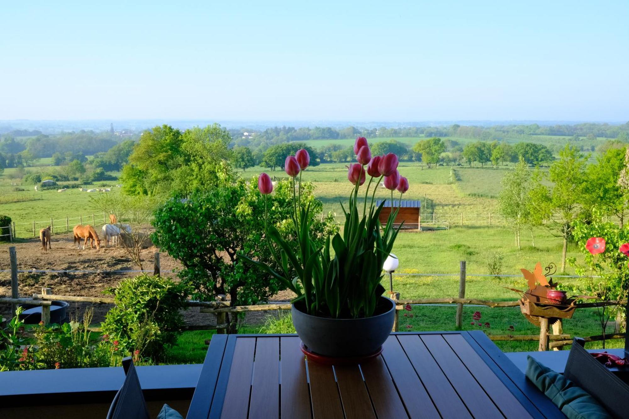 Les Chambres De La Forge Des Collines เลแซร์บิเย ภายนอก รูปภาพ